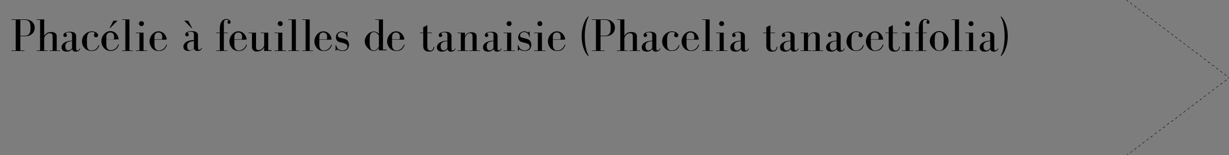 Étiquette de : Phacelia tanacetifolia - format c - style noire35_simple_simplebod avec comestibilité