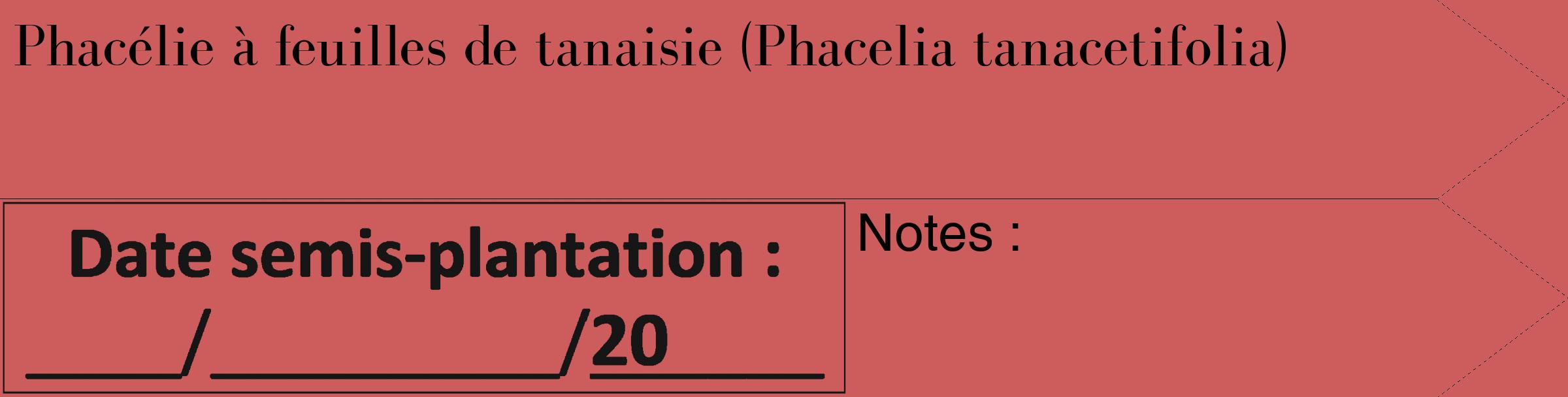 Étiquette de : Phacelia tanacetifolia - format c - style noire35_simple_simplebod avec comestibilité