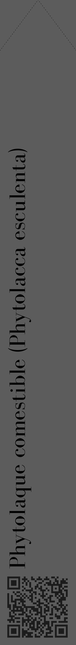 Étiquette de : Phytolacca esculenta - format c - style noire49_simple_simplebod avec qrcode et comestibilité - position verticale