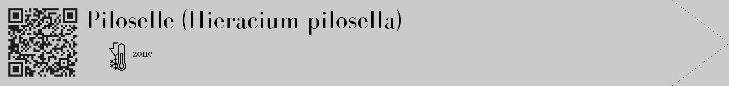Étiquette de : Hieracium pilosella - format c - style noire21_simple_simplebod avec qrcode et comestibilité