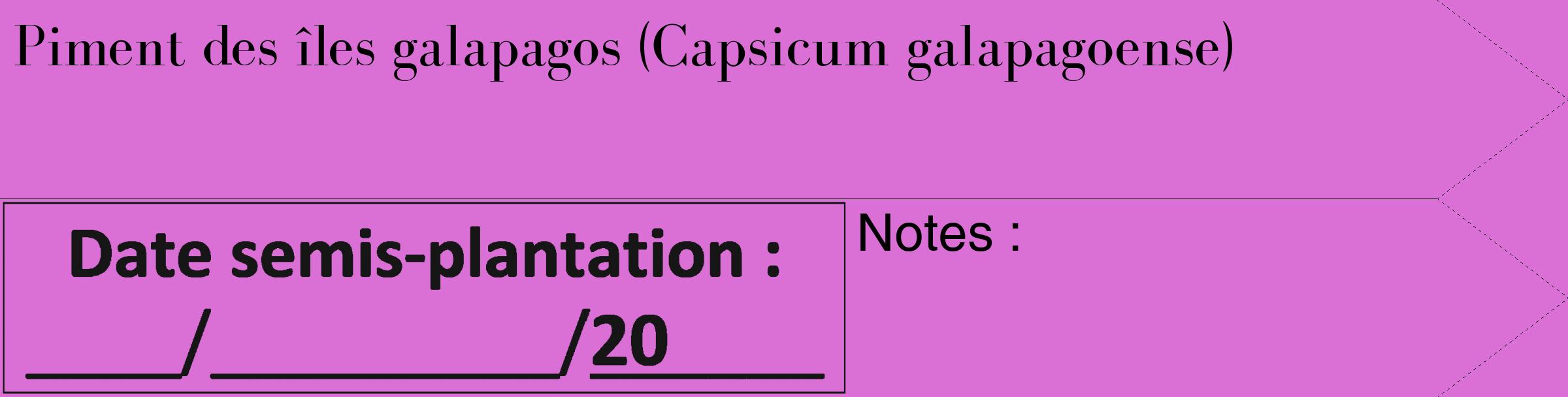 Étiquette de : Capsicum galapagoense - format c - style noire52_simple_simplebod avec comestibilité