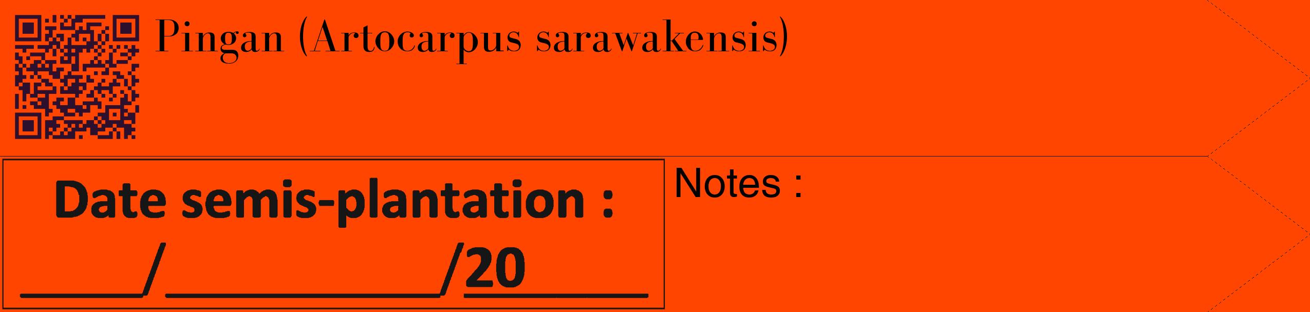 Étiquette de : Artocarpus sarawakensis - format c - style noire26_simple_simplebod avec qrcode et comestibilité