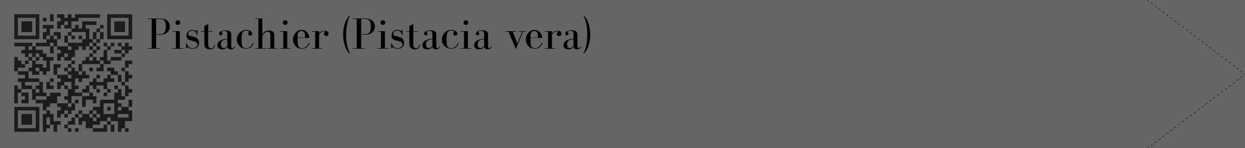 Étiquette de : Pistacia vera - format c - style noire32_simple_simplebod avec qrcode et comestibilité