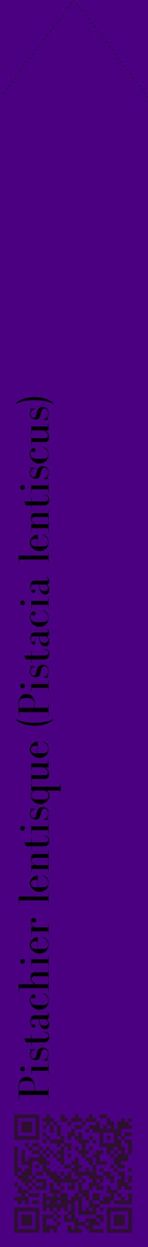 Étiquette de : Pistacia lentiscus - format c - style noire47_simplebod avec qrcode et comestibilité