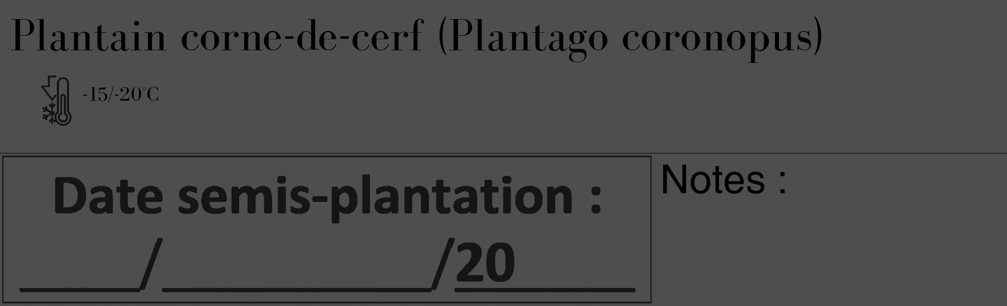 Étiquette de : Plantago coronopus - format c - style noire33_basique_basiquebod avec comestibilité
