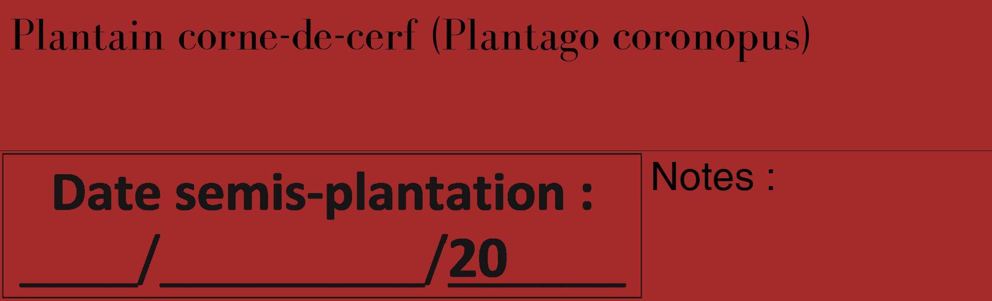 Étiquette de : Plantago coronopus - format c - style noire33_basique_basiquebod avec comestibilité