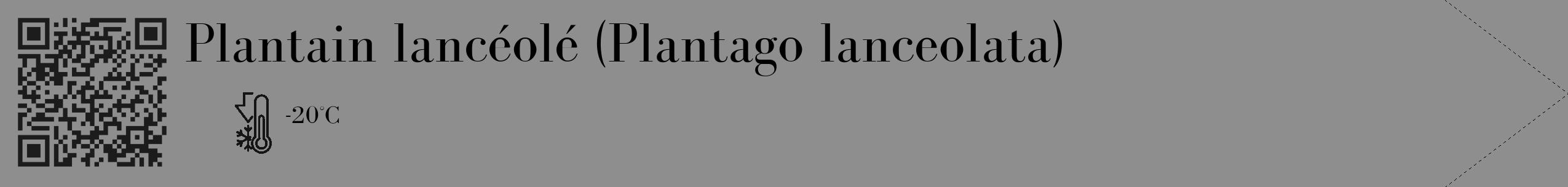 Étiquette de : Plantago lanceolata - format c - style noire25_simple_simplebod avec qrcode et comestibilité