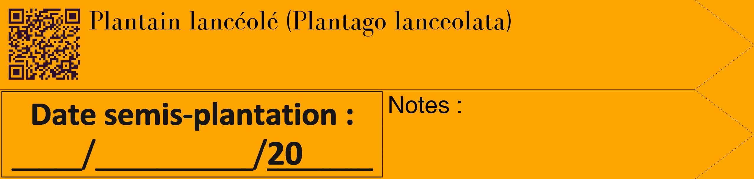 Étiquette de : Plantago lanceolata - format c - style noire22_simple_simplebod avec qrcode et comestibilité