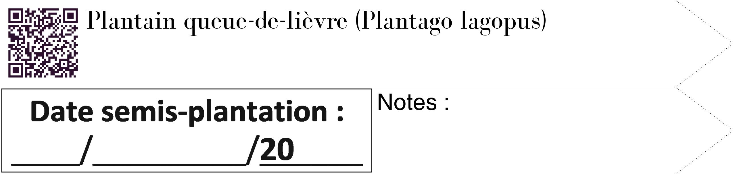 Étiquette de : Plantago lagopus - format c - style noire60_simple_simplebod avec qrcode et comestibilité