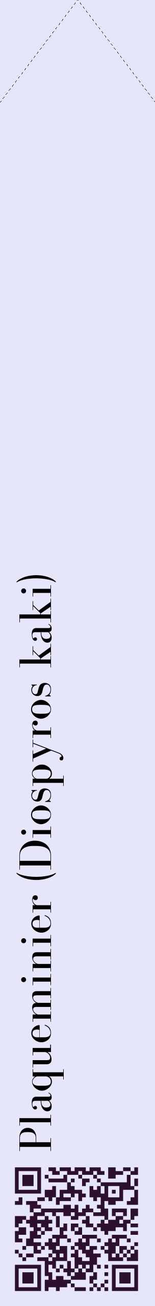 Étiquette de : Diospyros kaki - format c - style noire55_simplebod avec qrcode et comestibilité