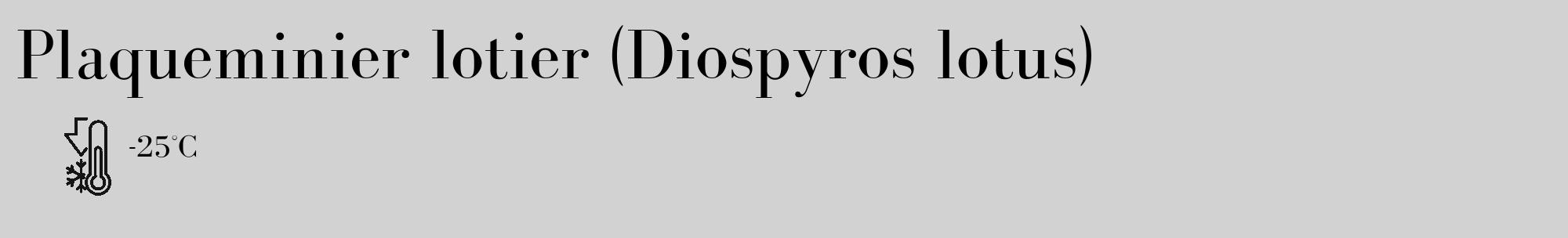 Étiquette de : Diospyros lotus - format c - style noire14_basique_basiquebod avec comestibilité