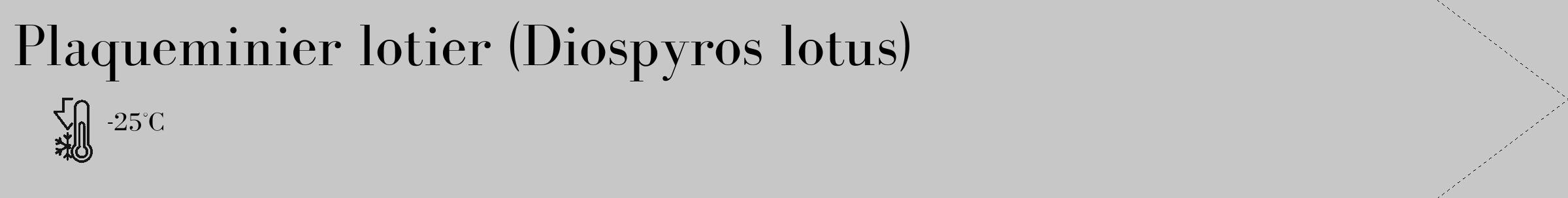 Étiquette de : Diospyros lotus - format c - style noire15_simple_simplebod avec comestibilité