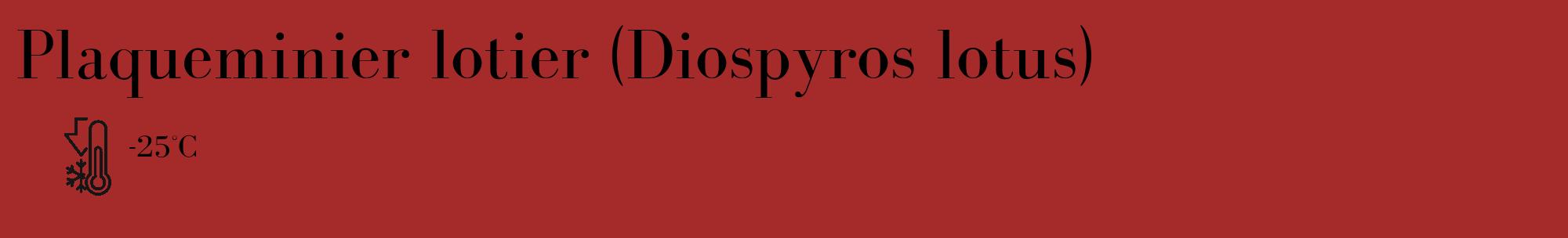 Étiquette de : Diospyros lotus - format c - style noire33_basique_basiquebod avec comestibilité