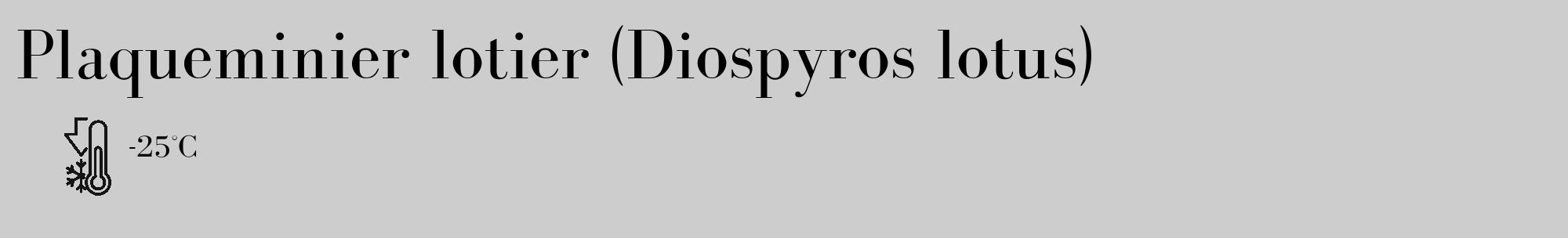 Étiquette de : Diospyros lotus - format c - style noire41_basique_basiquebod avec comestibilité