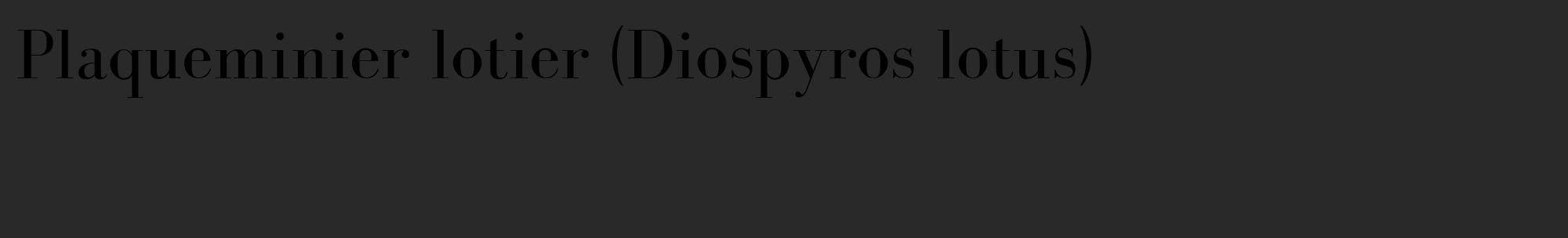 Étiquette de : Diospyros lotus - format c - style noire34_basique_basiquebod avec comestibilité
