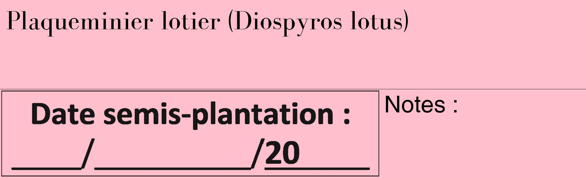 Étiquette de : Diospyros lotus - format c - style noire40_basique_basiquebod avec comestibilité