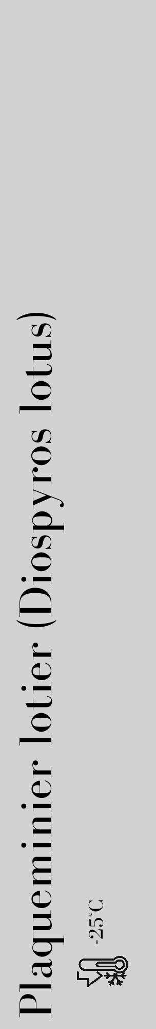 Étiquette de : Diospyros lotus - format c - style noire14_basique_basiquebod avec comestibilité - position verticale