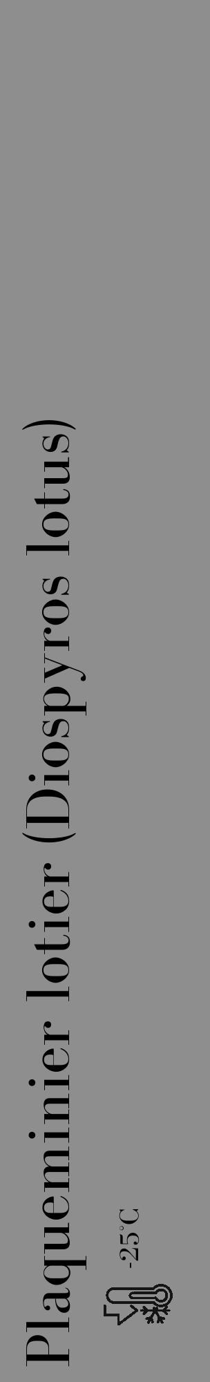 Étiquette de : Diospyros lotus - format c - style noire25_basique_basiquebod avec comestibilité - position verticale