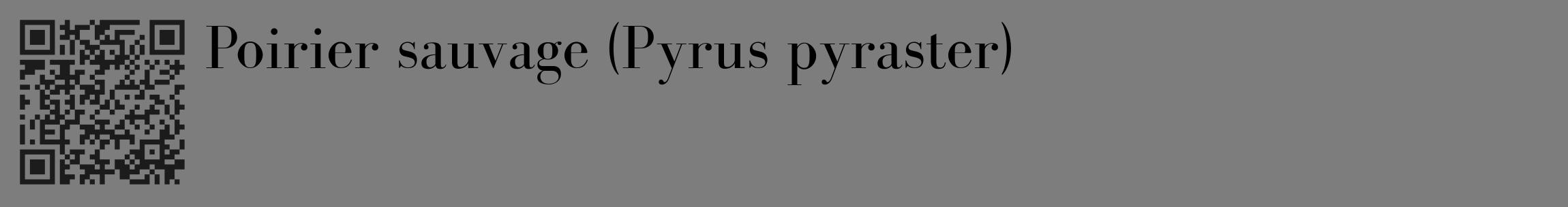 Étiquette de : Pyrus pyraster - format c - style noire35_basique_basiquebod avec qrcode et comestibilité