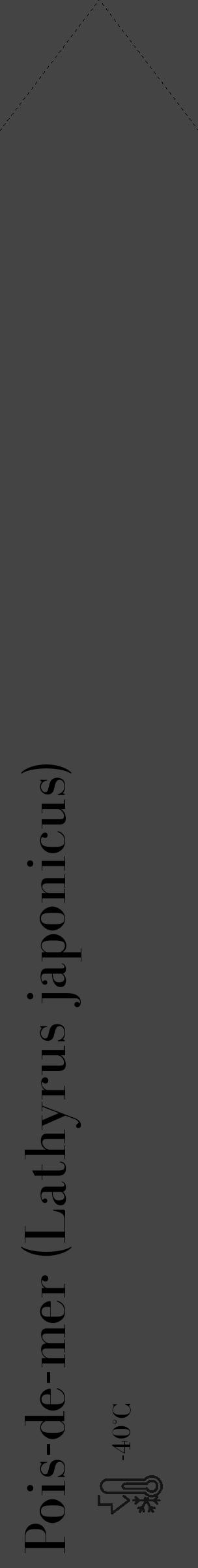 Étiquette de : Lathyrus japonicus - format c - style noire48_simple_simplebod avec comestibilité - position verticale