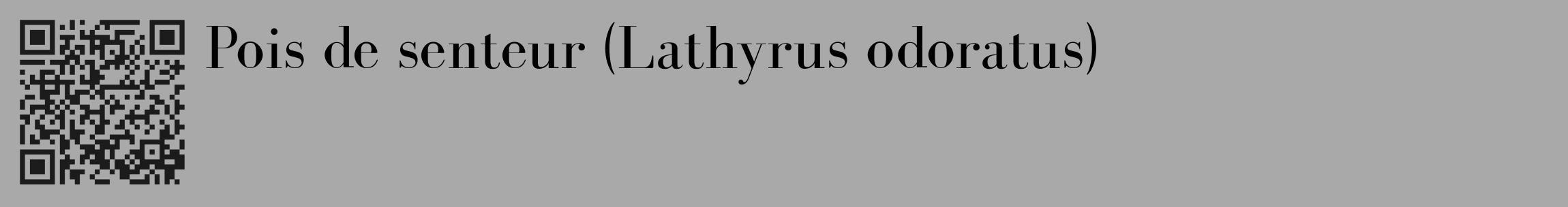 Étiquette de : Lathyrus odoratus - format c - style noire13_basique_basiquebod avec qrcode et comestibilité