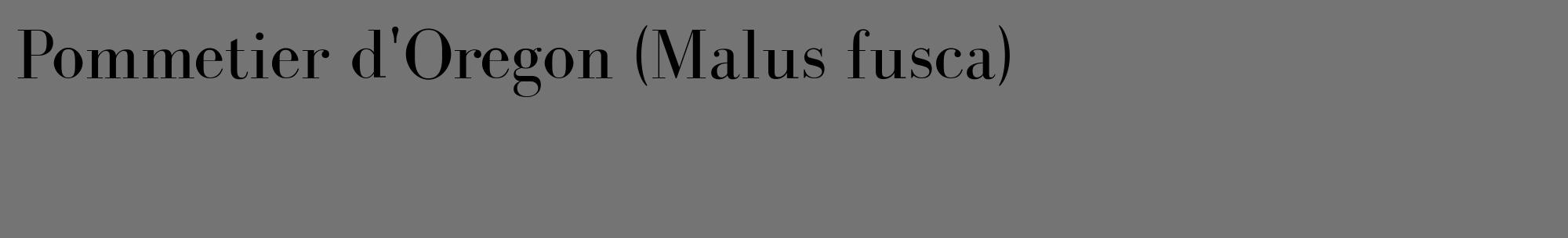 Étiquette de : Malus fusca - format c - style noire26_basique_basiquebod avec comestibilité