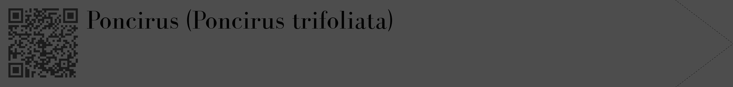Étiquette de : Poncirus trifoliata - format c - style noire28_simple_simplebod avec qrcode et comestibilité