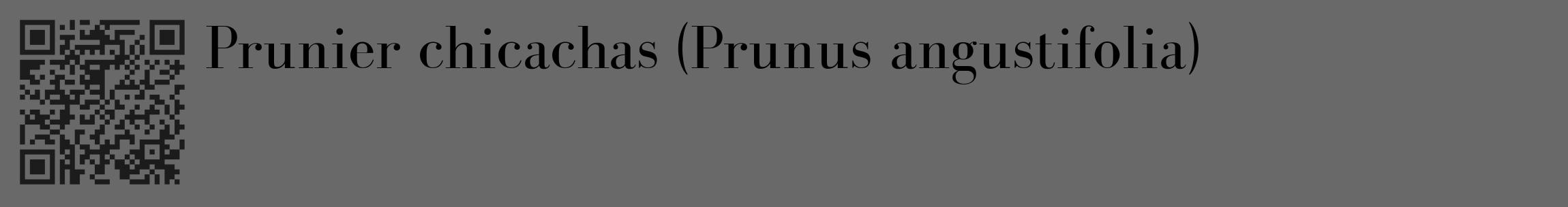 Étiquette de : Prunus angustifolia - format c - style noire51_basique_basiquebod avec qrcode et comestibilité