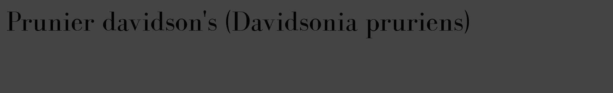 Étiquette de : Davidsonia pruriens - format c - style noire48_basique_basiquebod avec comestibilité