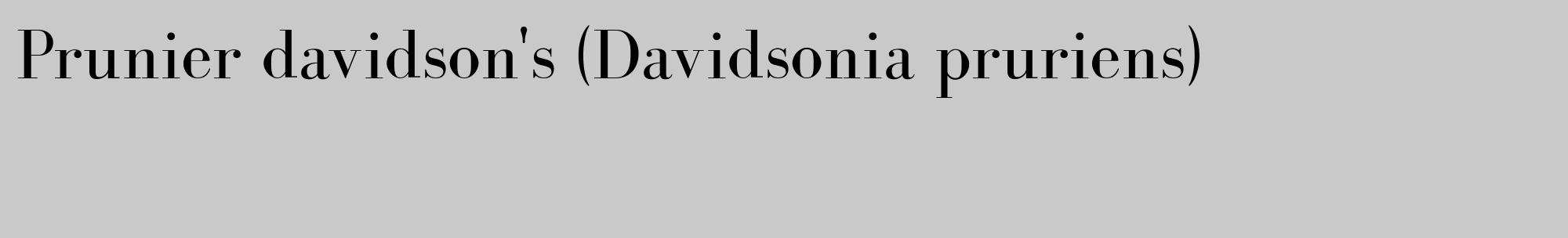 Étiquette de : Davidsonia pruriens - format c - style noire54_basique_basiquebod avec comestibilité