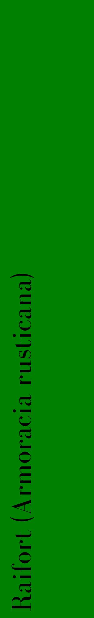 Étiquette de : Armoracia rusticana - format c - style noire9_basiquebod avec comestibilité