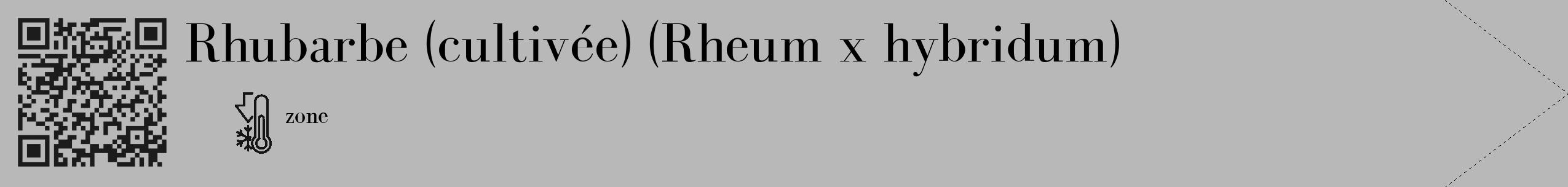 Étiquette de : Rheum x hybridum - format c - style noire39_simple_simplebod avec qrcode et comestibilité