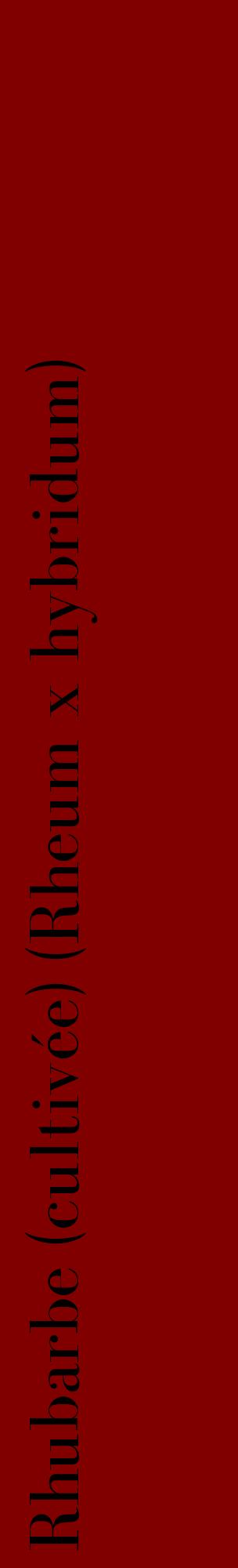 Étiquette de : Rheum x hybridum - format c - style noire29_basiquebod avec comestibilité