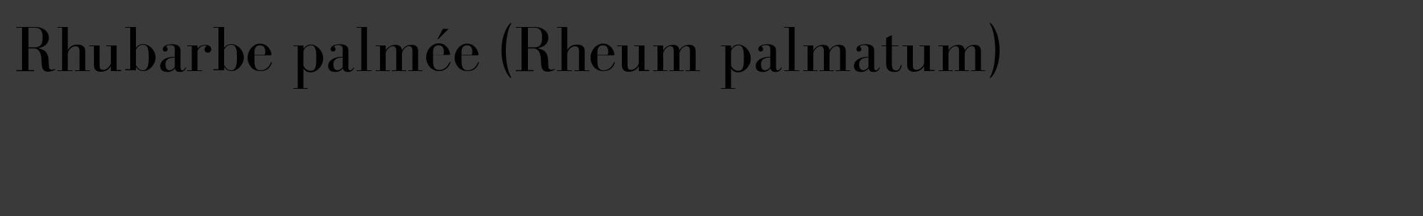 Étiquette de : Rheum palmatum - format c - style noire8_basique_basiquebod avec comestibilité