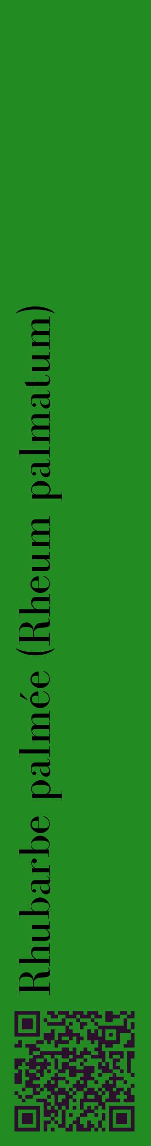 Étiquette de : Rheum palmatum - format c - style noire10_basiquebod avec qrcode et comestibilité