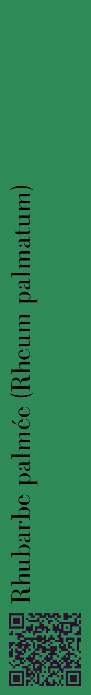 Étiquette de : Rheum palmatum - format c - style noire11_basiquebod avec qrcode et comestibilité