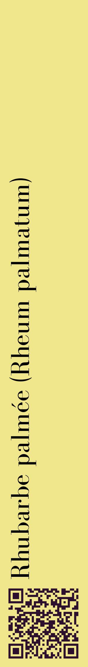 Étiquette de : Rheum palmatum - format c - style noire20_basiquebod avec qrcode et comestibilité