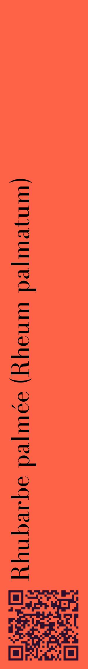 Étiquette de : Rheum palmatum - format c - style noire25_basiquebod avec qrcode et comestibilité