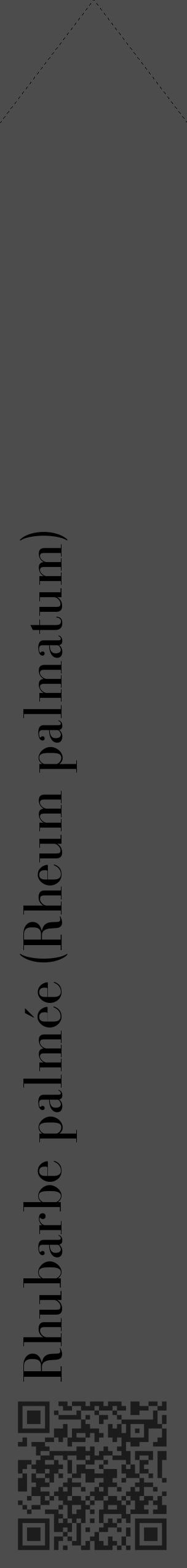 Étiquette de : Rheum palmatum - format c - style noire27_simple_simplebod avec qrcode et comestibilité - position verticale