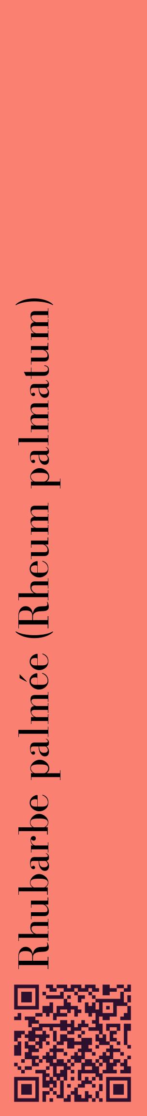 Étiquette de : Rheum palmatum - format c - style noire38_basiquebod avec qrcode et comestibilité