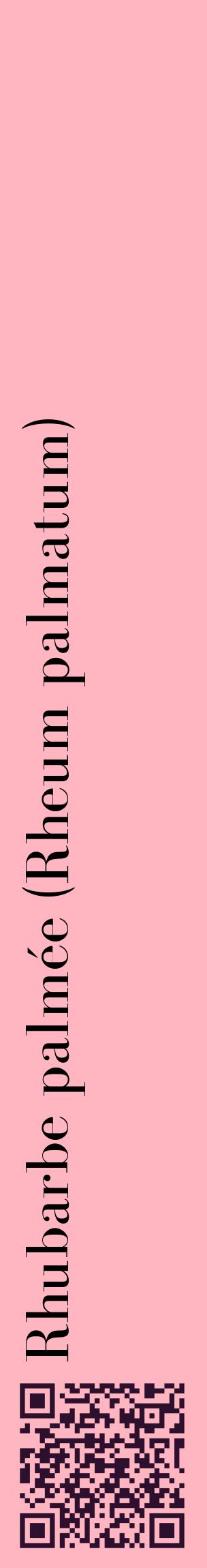 Étiquette de : Rheum palmatum - format c - style noire41_basiquebod avec qrcode et comestibilité