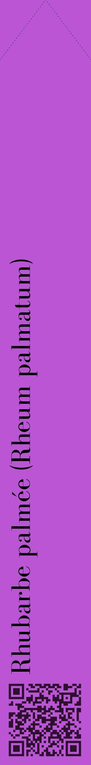 Étiquette de : Rheum palmatum - format c - style noire50_simple_simplebod avec qrcode et comestibilité - position verticale
