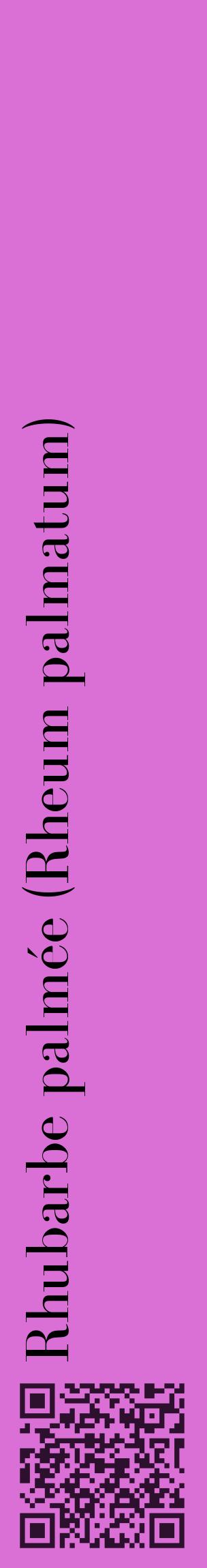 Étiquette de : Rheum palmatum - format c - style noire52_basiquebod avec qrcode et comestibilité