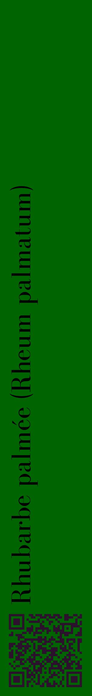 Étiquette de : Rheum palmatum - format c - style noire8_basiquebod avec qrcode et comestibilité