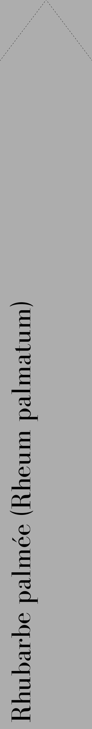 Étiquette de : Rheum palmatum - format c - style noire22_simple_simplebod avec comestibilité - position verticale