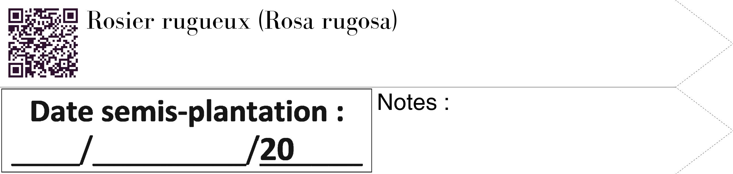 Étiquette de : Rosa rugosa - format c - style noire60_simple_simplebod avec qrcode et comestibilité