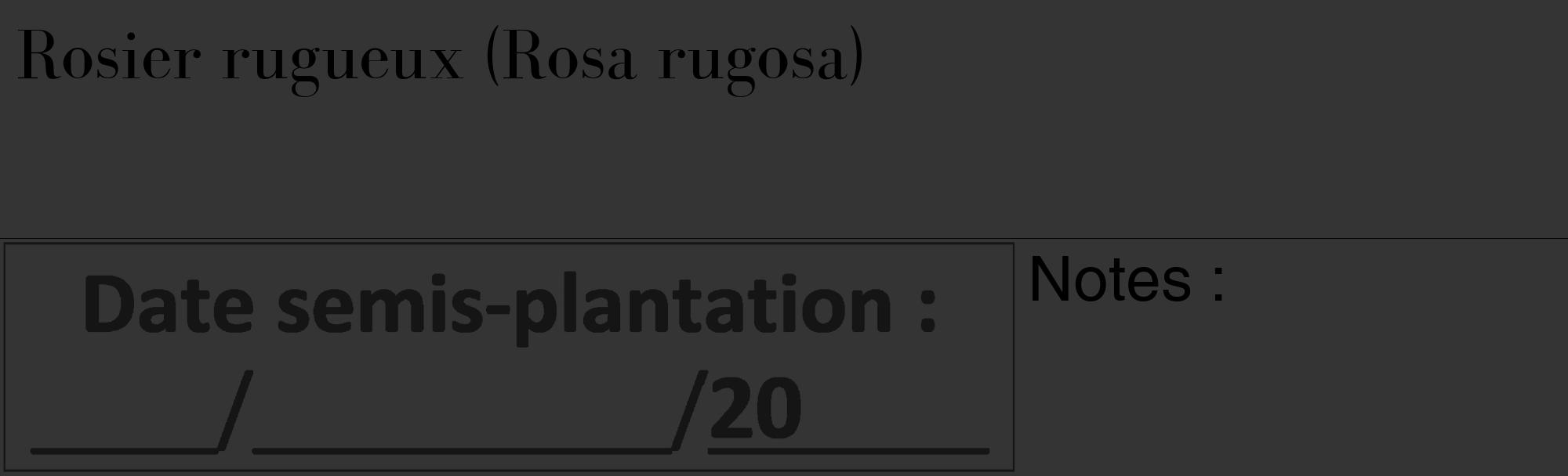 Étiquette de : Rosa rugosa - format c - style noire46_basique_basiquebod avec comestibilité