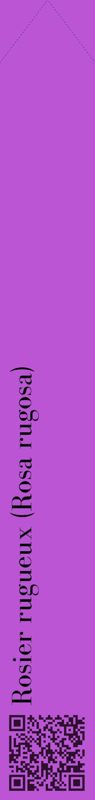 Étiquette de : Rosa rugosa - format c - style noire50_simplebod avec qrcode et comestibilité