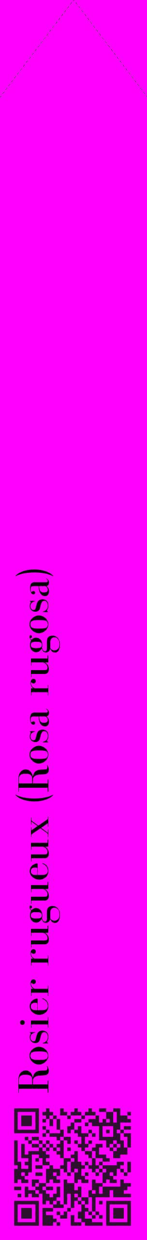 Étiquette de : Rosa rugosa - format c - style noire51_simplebod avec qrcode et comestibilité