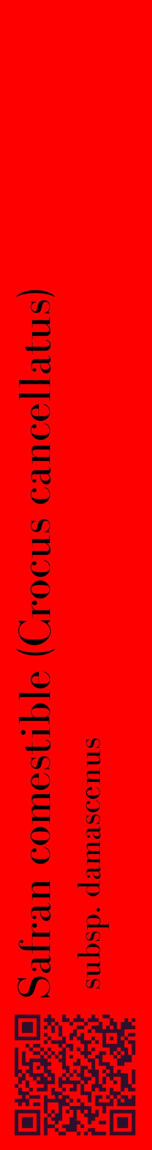 Étiquette de : Crocus cancellatus subsp. damascenus - format c - style noire27_basiquebod avec qrcode et comestibilité